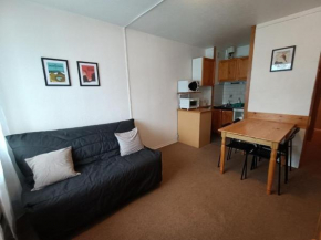 Studio confortable à La Pierre St Martin, proche des pistes, avec loggia et ascenseur. - FR-1-602-64 Arette